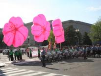 National Cherry Blossom Festival Parade Image of an outdoor Special Event